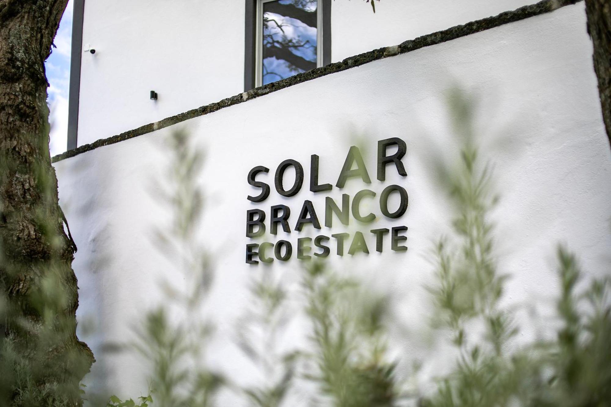 Ponta Delgada Solar Branco Eco Estate 빌라 외부 사진