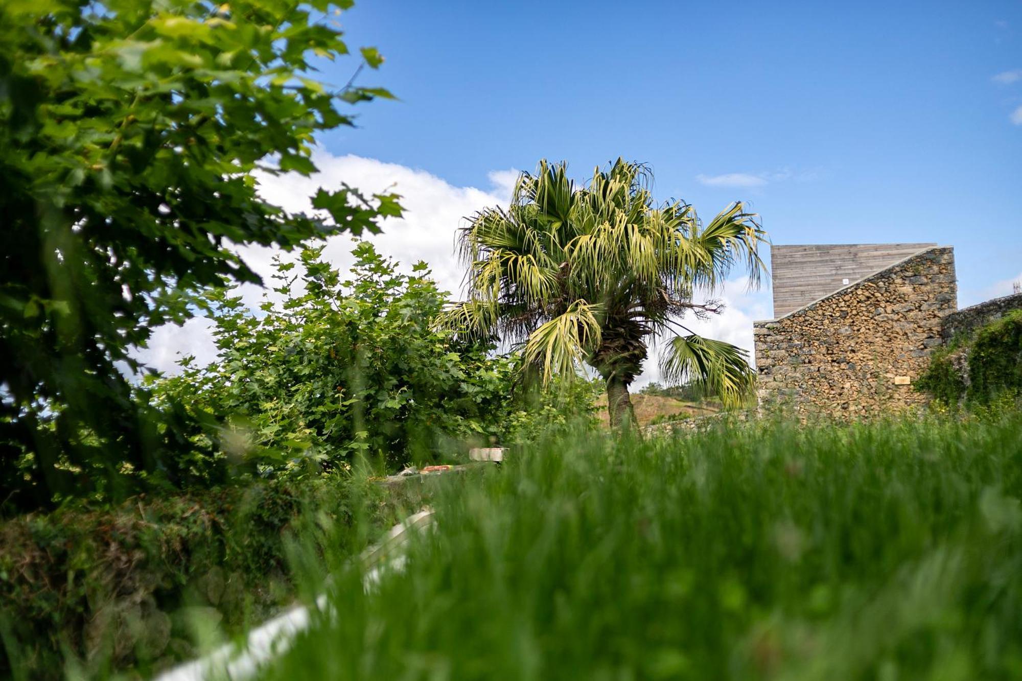 Ponta Delgada Solar Branco Eco Estate 빌라 외부 사진