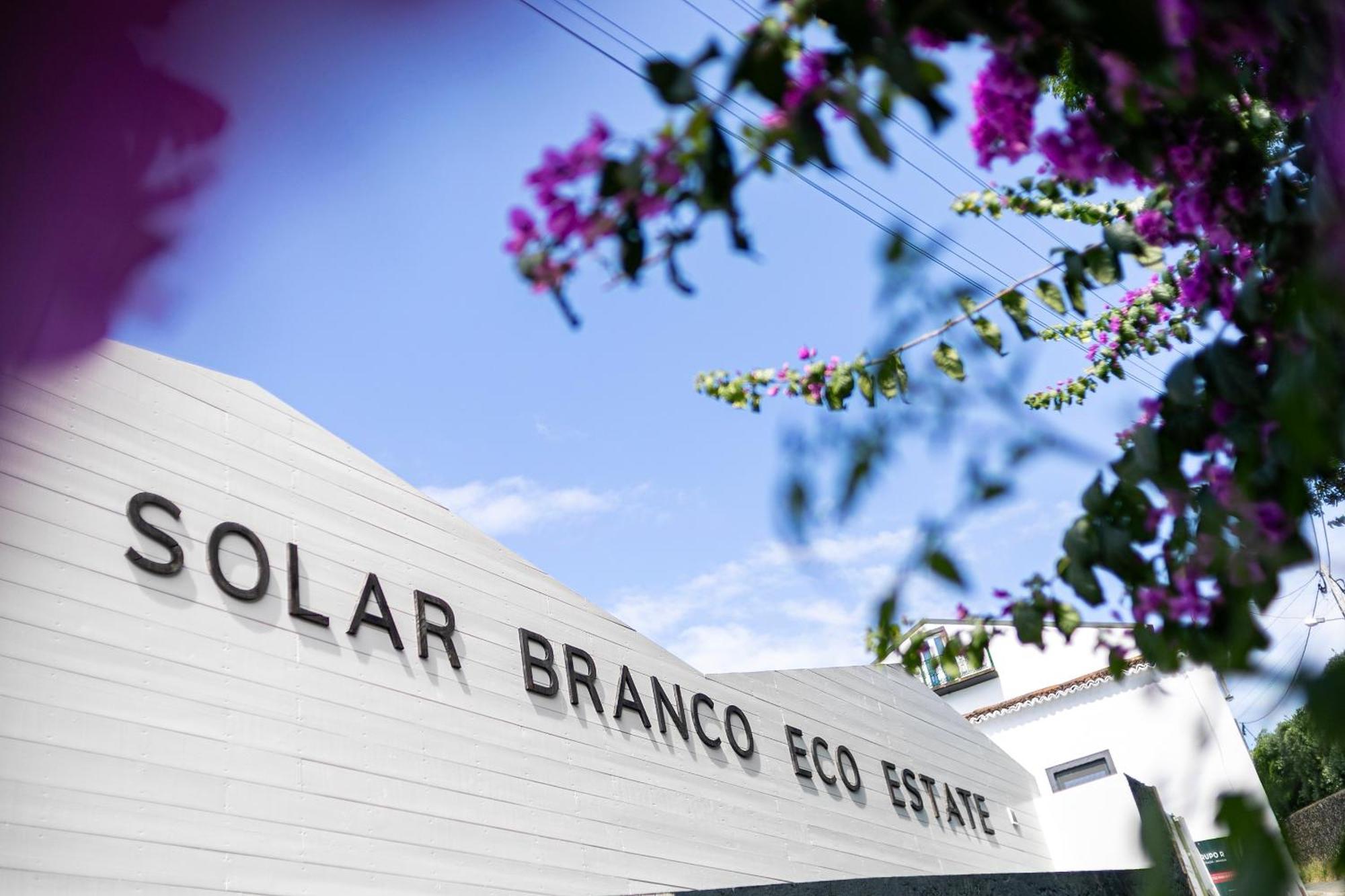 Ponta Delgada Solar Branco Eco Estate 빌라 외부 사진